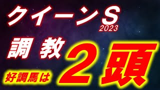 クイーンステークス2023　追い切り診断！！　ミスニューヨーク、ドゥーラ、ルビーカサブランカ等