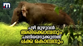 'പഴി മുഴുവൻ അരിക്കൊമ്പനും പണിയെടുക്കുന്നത് ചക്ക കൊമ്പനുമാണ്' | Mathrubhumi News