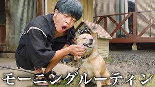 【Morning Routine】犬と暮らすぼっちニートの平日朝