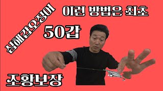 심해갑오징어 아직까지 이런 방법은 없었다/같이 많이 잡읍시다