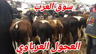 سوق  العرب اليوم مع اسعار العجول  العرباوي