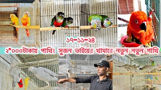 শীতের মৌসুমে সুজন ভাইয়ের দারুণ পাখির কালেকশন || রিংনেট টিয়া || কাকাটুয়া || সান || কুনোর || ঘুঘু ||