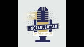 Die Bedeutung politischer Strukturen der deutschen Nationalität in Ungarn