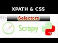 Scrapy selectors tutorial for web scraping | how to use CSS and XPATH