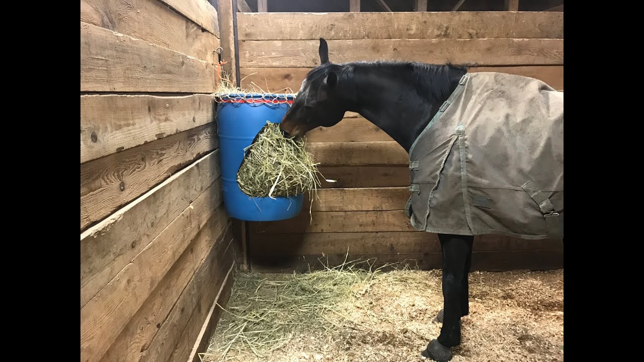 DIY 55 Gallon Horse Hay Feeder - YouTube