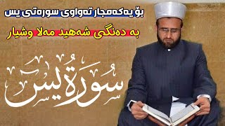 بۆ یەکەمجار تەواوی سورەتی یس بە دەنگی شەهید مەلا وشیار. surate yasen ba dangi shahed wshyar