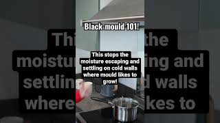 Black mould 101 #homehacks #blackmould #mould