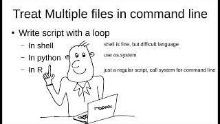 1.0. Sort and index your BAM files using script and samtools