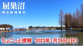 【屈巣沼】視察がてらちょこっと　2023年1月29日（日）