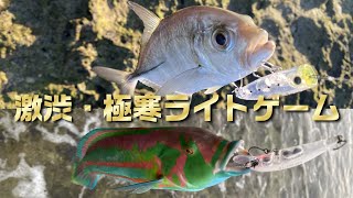 激渋・極寒ライトゲーム 【沖縄ルアーフィッシング】#沖縄釣り #沖縄ルアー #fishing #lurefishing #okinawa