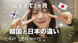 【韓国留学生】韓国で生活してみて感じた日本と韓国の違い🇯🇵🇰🇷