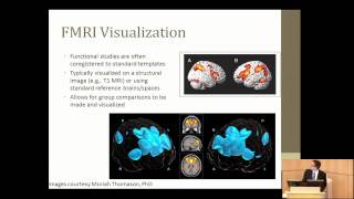 David Shattuck: Visualizing Anatomy Data