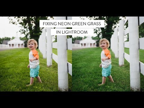 Fixing neon green grass in Lightroom Fixing neon green grass in Lightroom