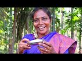 oomachi snail snail cooking and eating with village food safari suppu and kutty siruthai