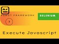 7) Input Text and Click Button using Execute Javascript | Selenium - Robot Framework |