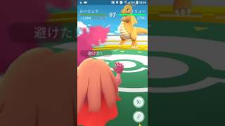 【ポケモンGO】ルージュラ VS カイリュー