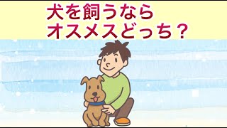 犬を飼うならオスとメスだとどっちが飼いやすい？