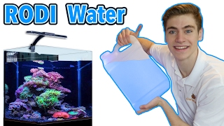 RODI Water For Your Reef Tank - Best RODI Machine for Beginners!