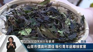 重振六龜新發茶業 茶農栽種「野放山茶」【客家新聞20180802】