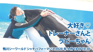 大好き♡ トレーナーさんとラビーちゃん【2020年9月18日10:30　鴨川シーワールド　シャチパフォーマンス】Killer whale performance, Kamogawa Sea Wo