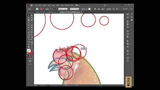 How to create chicken logo Golden Ratio in illustrator