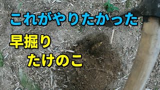 竹林整備の集大成！早掘りたけのこ