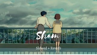 SHAM (Slowed+Reverb) | Aisha | Amit Trivedi