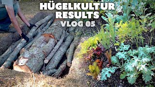 HÜGELKULTUR Progress: First Year Review | Garden Vlog 05