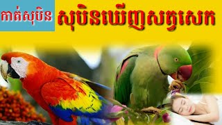 សុបិនឃើញសេក-Dreaming seeing of a parrot