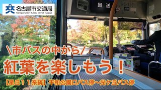 【前面展望】市バスの中から紅葉を楽しもう！