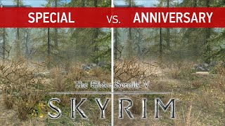 Elder Scrolls V: Skyrim Comparison - Special Edition vs. Anniversary Edition [Last-Gen vs. Next-Gen]