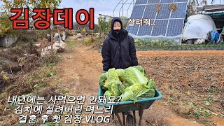 결혼 후 처음으로 김장하러 온 며느리 VLOG| 100포기 김장은 처음이지?| 뽑기부터 벼무리기까지!|김치 얻어먹기 대작전|내년에도 올거지??