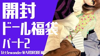 【ドール福袋】2022年　littlewonderWARDROBE　MDDサイズ福袋　開封