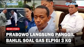 PRABOWO LANGSUNG PANGGIL BAHLIL! Buntut Polemik Gas Elpigi 3 Kg, Menteri ESDM : Lapor Kerjaan