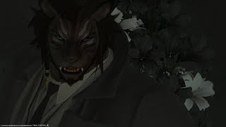 FF14 　弱虫チキンが頑張る配信　笛を探して三千里！新極周回でち！