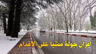 مدينة افران جولة سيرا على الاقدام وسط الثلوج Ifran Morocco Walking Tour