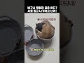 바구니 쟁탈전 끝은 어디 냥이 서로 나가라고 난리