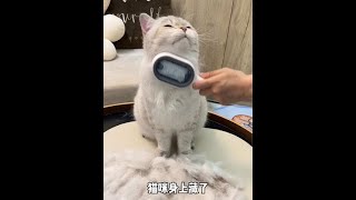 自带水箱的宠物浮毛梳，边梳浮毛边清洁毛发，猫狗通用～ #宠物梳子 #科学养宠攻略 #猫毛解决方案