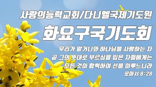 [구국기도회 Live] 2021/11/16│화요구국기도회│사랑의능력교회 / 다니엘국제기도원 실시간 예배│