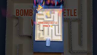 Maze Battle: Centipede vs Beetle Escape Test