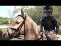 first horse riding adventure in our new horsebox