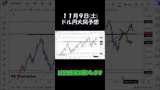 11月9日ドル円大局予想切り抜き【海外FX/仮想通貨】 #shorts