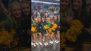 Bear with Baylor Cheerleading Squad