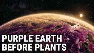The Ancient Purple World That Existed Before Plants — And Still Lives Inside Your Eyes