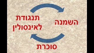 סוכרת, אינסולין והשמנה מה הקשר?, הקשר בין אינסולין והשמנה, השמנה סוכרת סוג 2, קובי עזרא