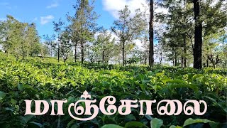 என்னங்க ஊட்டி, கொடைக்கானல், மாஞ்சோலை பார்த்திருக்கீங்களா | Manjolai Tea Estate