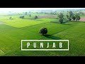 Beautiful Village in PUNJAB | DRONE VIEW