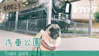 【パグ Pug】小虎の朝散歩 / 汽車公園で大きな機関車見てきたよ [パグログ-0023]