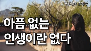 아픔 없는 인생은 없다 - 인생을 수월하게 사는 지혜 / 마음을 편안하게 하는 명상의 말씀과 붓다의 가르침