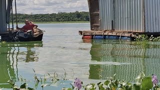 EITA QUE PIAU GIGANTE! PESCARIA NO RIO TURVO!